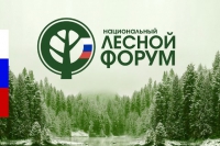 В пяти городах России пройдет Национальный лесной форум-2019